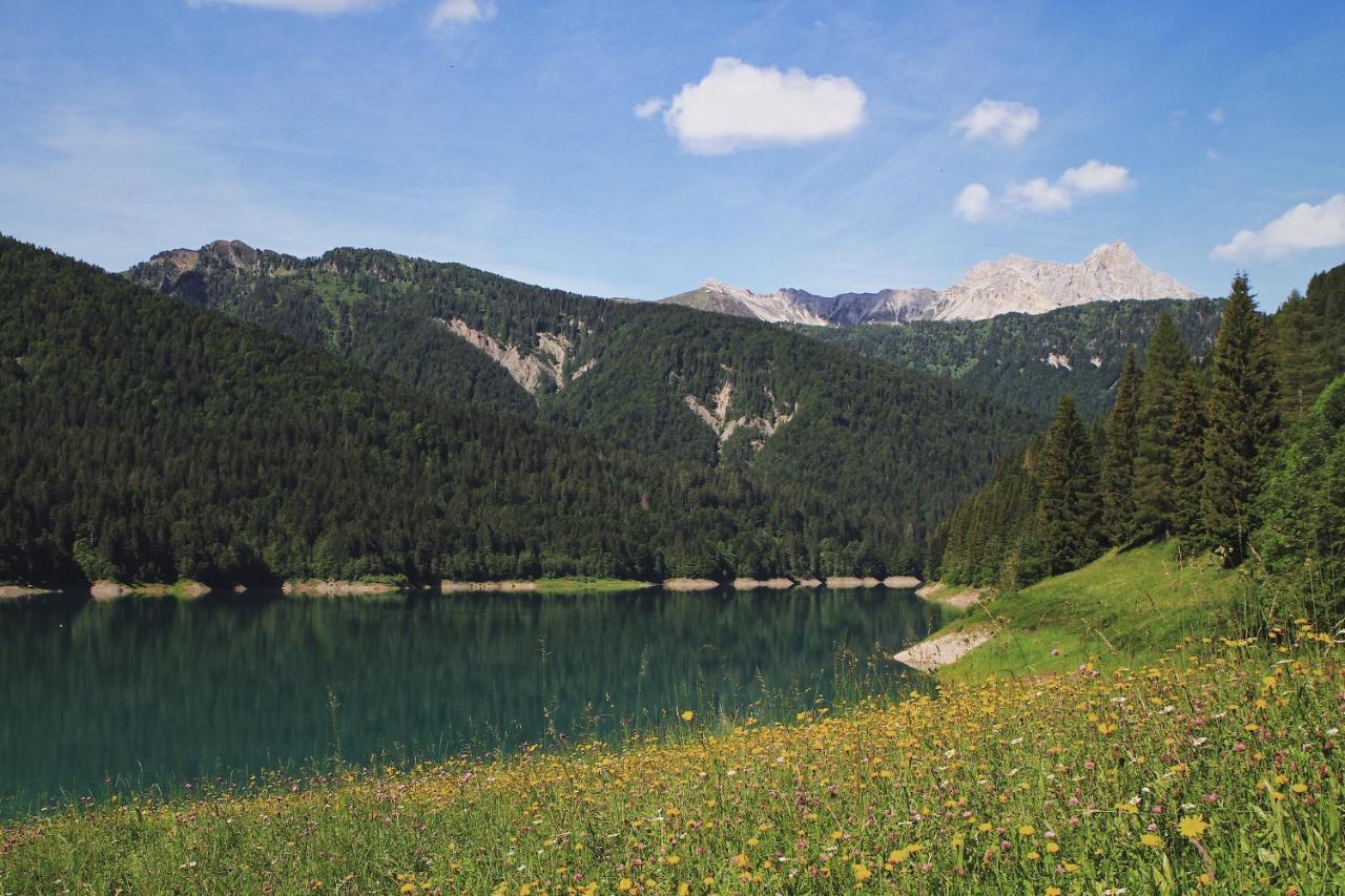 Neider Hotel - Alpine Retreat Sauris Exterior photo